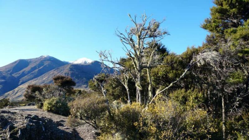 Stevensons Island 2-Hour Cruise and Nature Walk - Who Will Enjoy This Tour?
