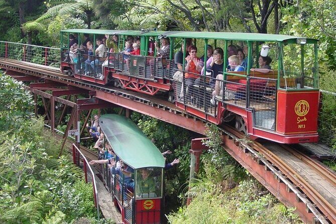 [Stevong Travel] West Coromandel Day Tour - Convenient and Comfortable Transportation
