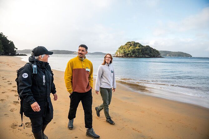 Stewart Island Guided Wilderness Walk - Introduction: Discover Stewart Island’s Wilderness Through a Guided Walk