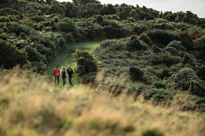Stewart Island Guided Wilderness Walk - The Sum Up: Is the Stewart Island Guided Wilderness Walk Worth It?