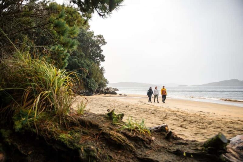 Stewart Island: Guided Wilderness Walk - Final Thoughts: Is It Worth It?