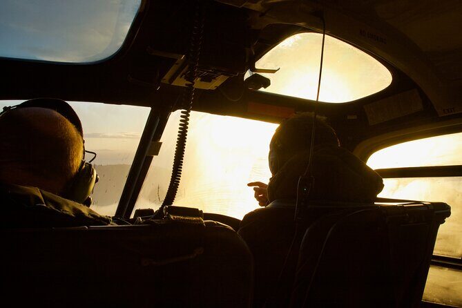 Stewart Island Transfer Flight - One way - An Overview of the Experience