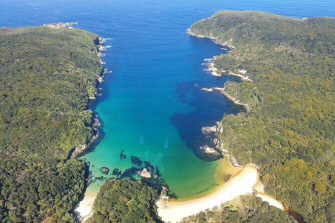 Stewart Island Transfer Flight - One way - Landing at Fern Gully: Your Gateway to Stewart Island