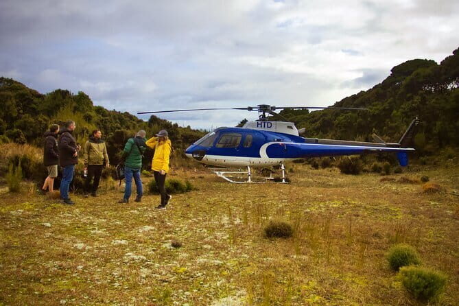 Stewart Island Transfer Flight - One way - Why This Transfer Is a Great Choice