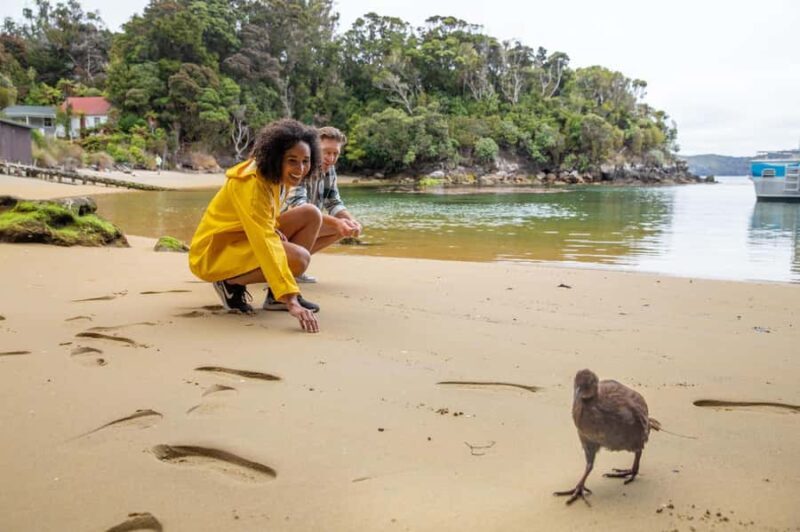 Stewart Island: Ulva Island Guided Wilderness Walk & Cruise - Introduction
