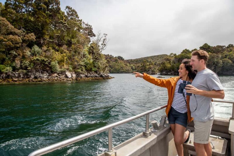 Stewart Island: Ulva Island Guided Wilderness Walk & Cruise - What Travelers Can Expect
