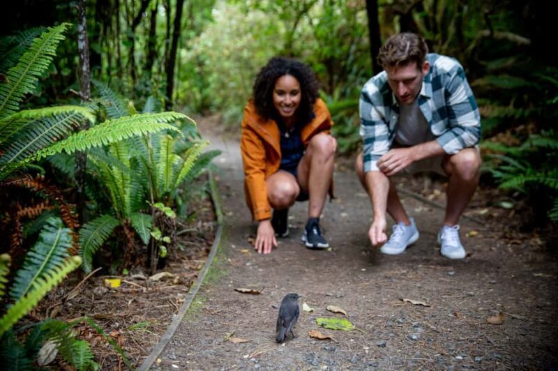 Stewart Island: Ulva Island Guided Wilderness Walk & Cruise - The Cost and Value