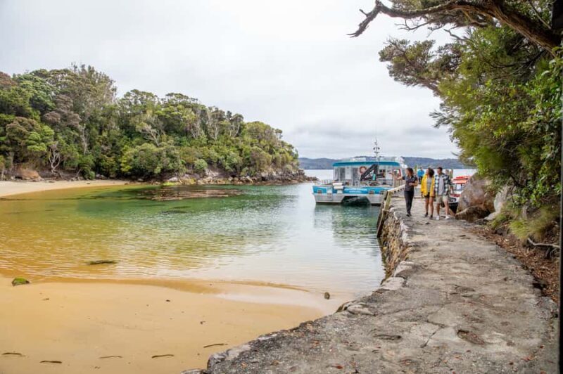 Stewart Island: Ulva Island Guided Wilderness Walk & Cruise - Who Should Consider This Tour?
