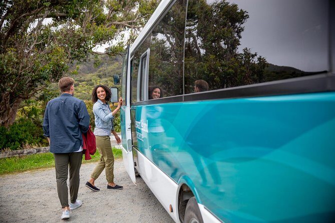 Stewart Island: Village and Bays Tour - What You Can Expect on the Tour