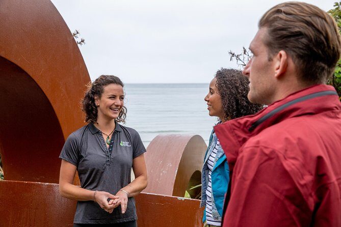 Stewart Island: Village and Bays Tour - The Experience: What You’ll Love and What’s Not