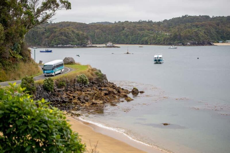 Stewart Island: Village and Bays Tour - Authentic Experiences That Shine