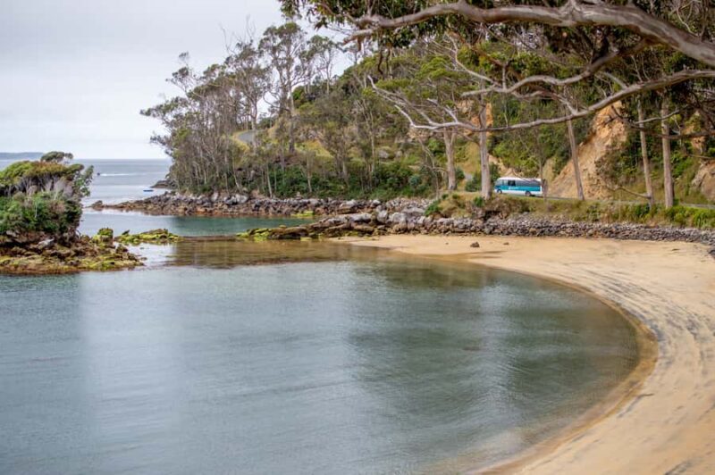 Stewart Island: Village and Bays Tour - Final Words