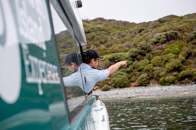 Stewart Island Wild Kiwi Experiences - An In-Depth Look at Stewart Island Wild Kiwi Experiences