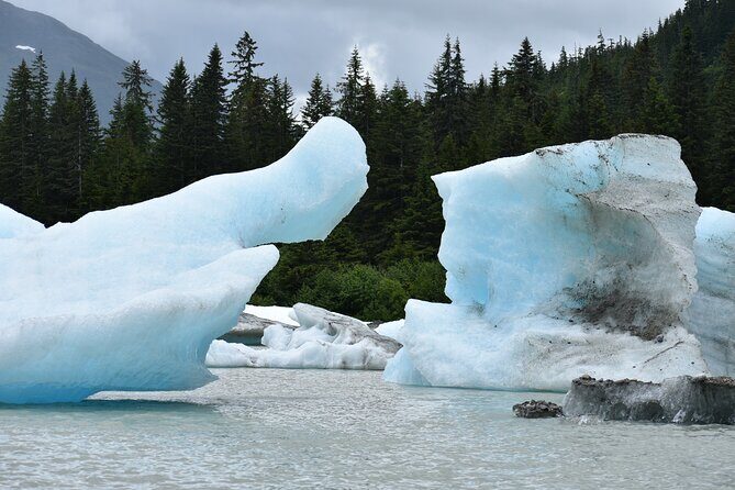 Stikine River Wilderness Tour - The Experience and Atmosphere