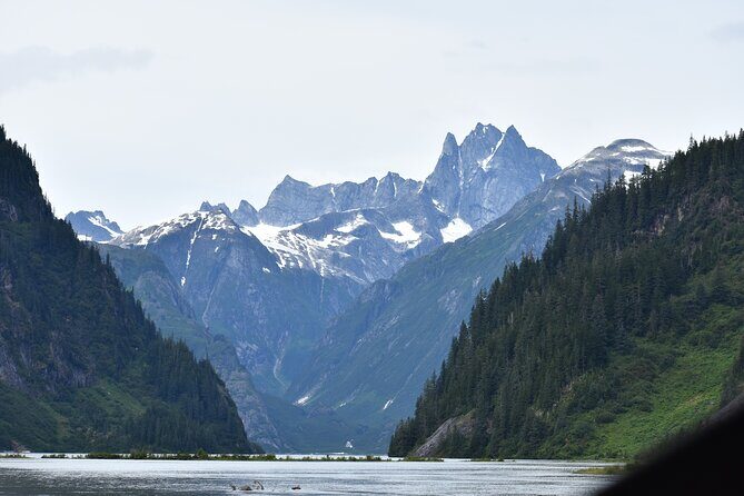 Stikine River Wilderness Tour - Reviews and Authentic Feedback