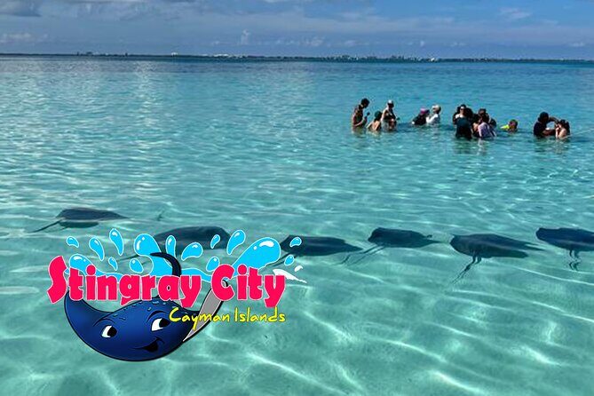 Stingray City and Starfish Experience with Coral Reef Snorkeling - Detailed Tour Breakdown