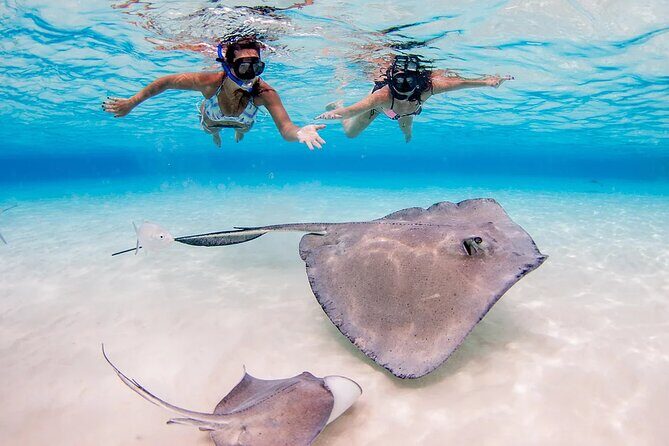 Stingray City and Starfish Experience with Coral Reef Snorkeling - The Sum Up