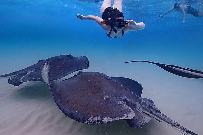 Stingray City and Starfish Experience with Coral Reef Snorkeling - FAQ
