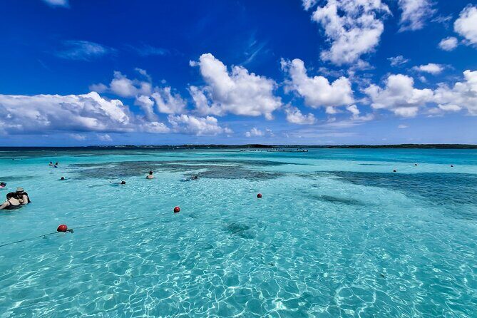 Stingray City Antigua for all the ages - ROUND TRIP INCLUDED - The Verdict: Is It Worth It?