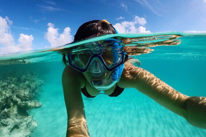 Stingray City Antigua for all the ages - ROUND TRIP INCLUDED - Frequently Asked Questions