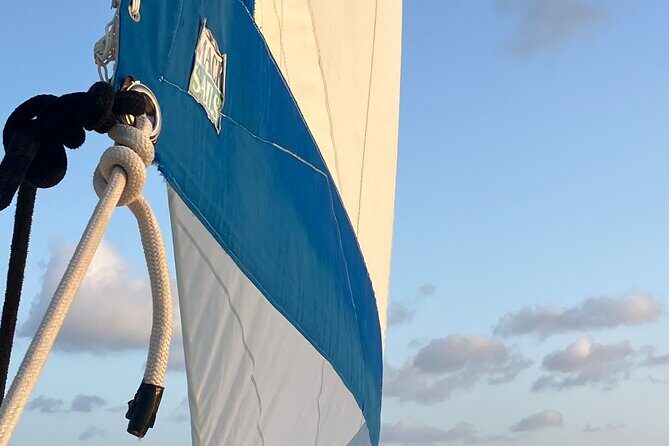 Stingray City Catamaran Sunset Tour - Booking and Practicalities