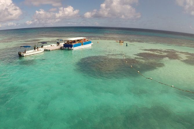 Stingray City - What To Expect and Why It Matters