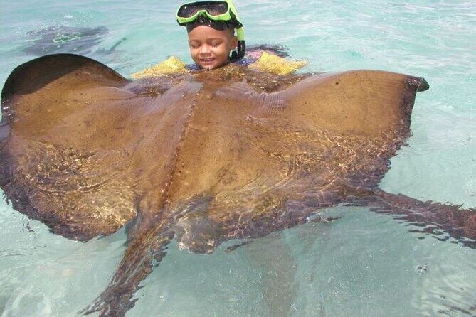 Stingray City - Authenticity and Reviews: What Travelers Say