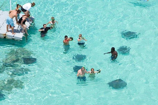 Stingray City - Who Is This Tour Best For?