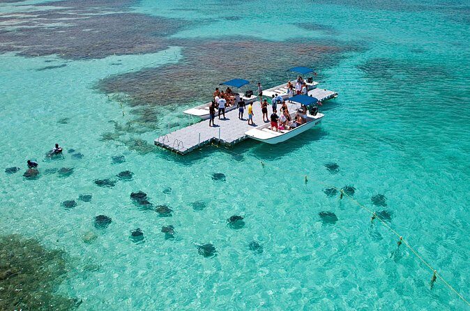 Stingray City - FAQ