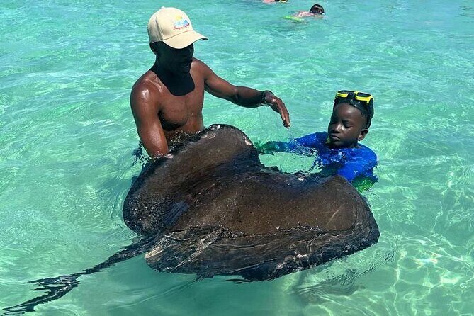 Stingray City Experience Antigua - Cruise Ship Passengers Edition - Introduction: What’s the Buzz About Swimming with Stingrays in Antigua?