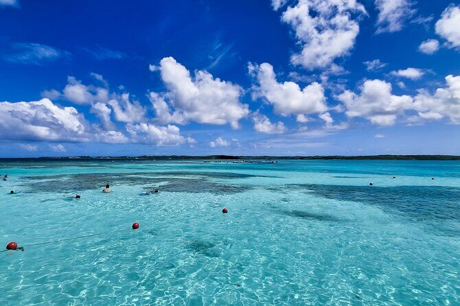 Stingray City Experience Antigua - Cruise Ship Passengers Edition - Final Thoughts: Is It Worth It?