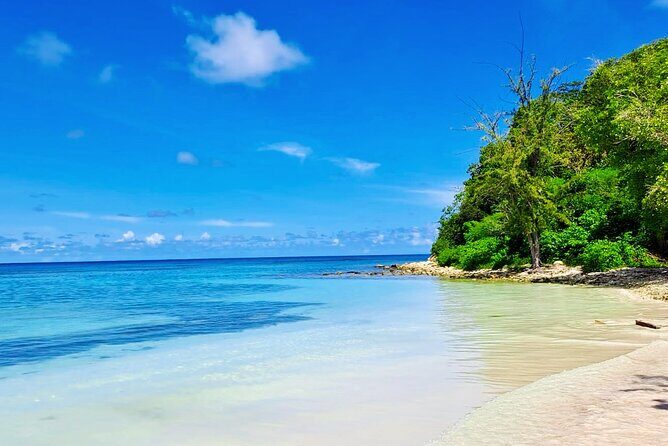 Stingray City experience, Devils Bridge and Long Bay Beach - Introduction