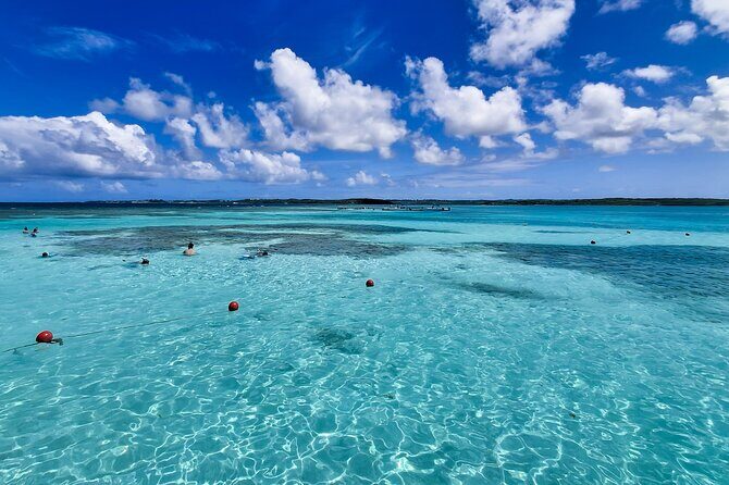 Stingray City experience, Devils Bridge and Long Bay Beach - FAQ