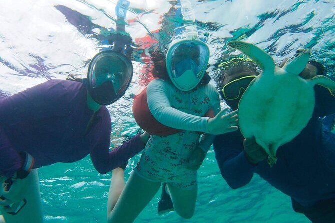 Stingray City Experience Plus One Snorkeling Stop - Pricing and Overall Value