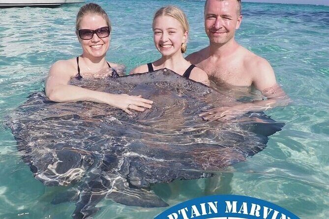 Stingrays, Starfish and Snorkeling Tour - A Closer Look at the Experience