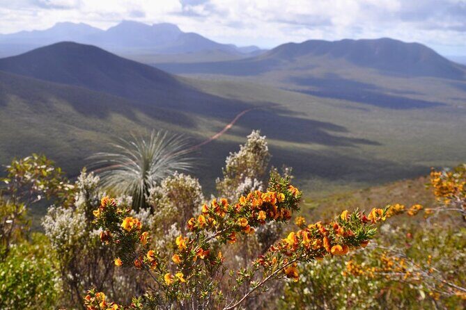 Stirling Range National Park Self Guided Driving Tour - Final Thoughts: Who Will Love This Tour?