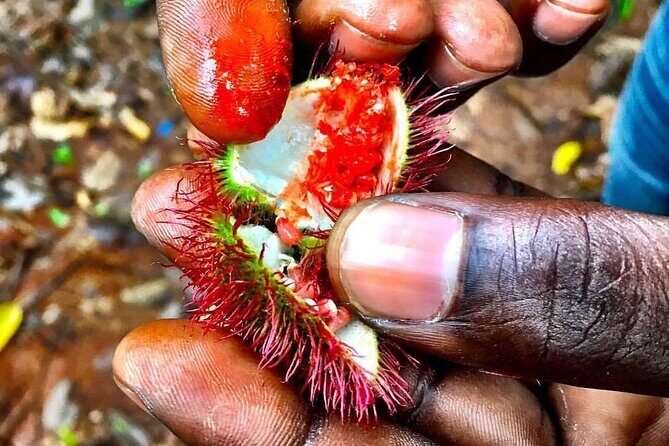 Stone City, Spice Farm and Prison Island Full Day Tour - Practical Details and Value