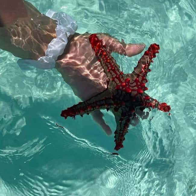 Stone Town, Blue Lagoon, Starfish & Spice Farm with Lunch - An In-Depth Look at the Tour Experience