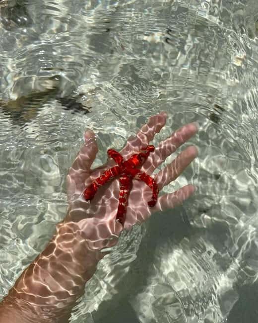 Stone Town, Blue Lagoon, Starfish & Spice Farm with Lunch - Final Words