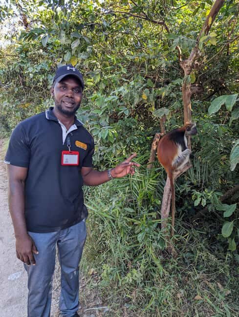 Stone Town: Jozani Chwaka Bay National Park Half-Day Tour - An In-Depth Look at the Jozani Chwaka Bay Tour