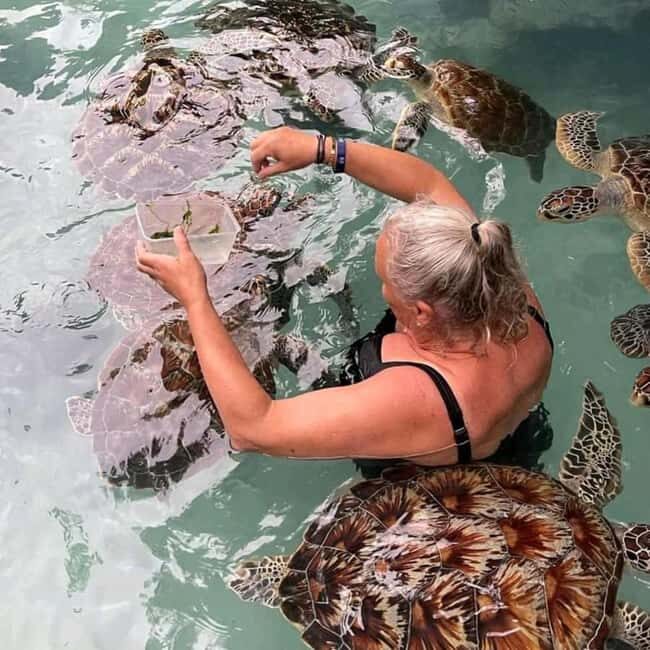 Stone Town, Jozani Forest, Sea Turtles & The Rock Restaurant - A Closer Look at the Tour Experience