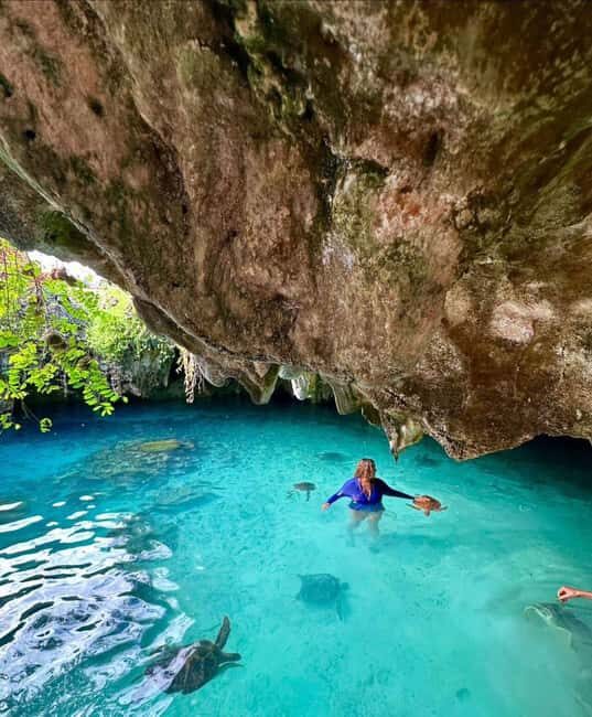 Stone Town, Jozani Forest, Sea Turtles & The Rock Restaurant - The Sum Up: Is This Tour Right for You?