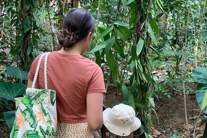 STONE TOWN, PRISON ISLAND AND SPICE FARM ( Lunch included ) - The Sum Up