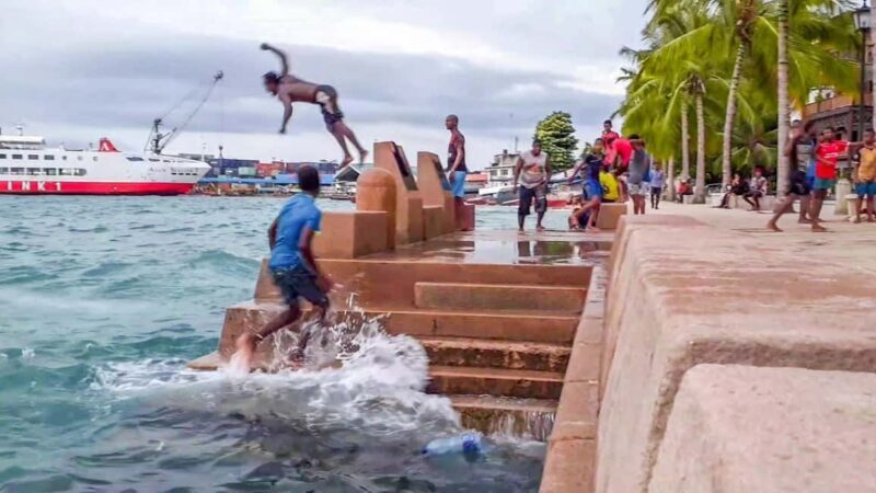 Stone Town: Private Guided Half-Day Walking Tour - Is This Tour Right for You?