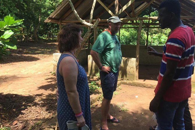 Stone Town, Spice Farm and Jozani Forest Private Tour - The Good, the Not-So-Good, and Practical Tips
