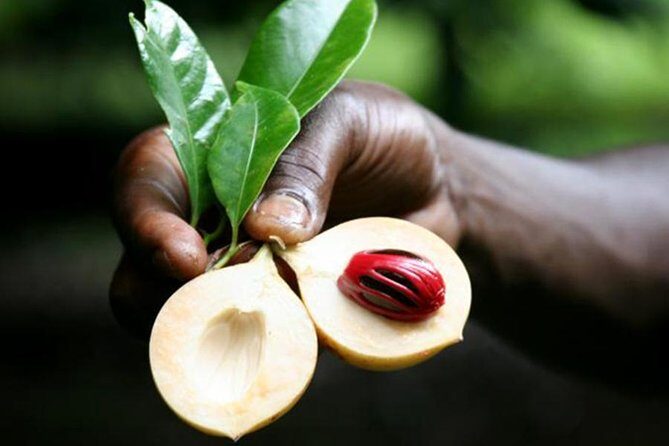 Stone Town & Spice Tour - A Closer Look at the Itinerary