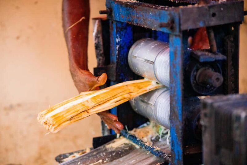 Stone Town Street Food Taste Walking Tour - The Heart of the Street Food Scene