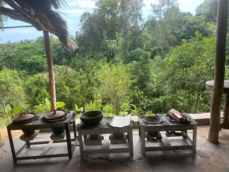 Stone Town Tour, Organic Lunch Break, Mnemba Snorkeling - An In-Depth Look at the Tour Itinerary