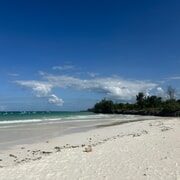 Stone Town Tour, Organic Lunch Break, Mnemba Snorkeling - Authentic Experiences and Genuine Value