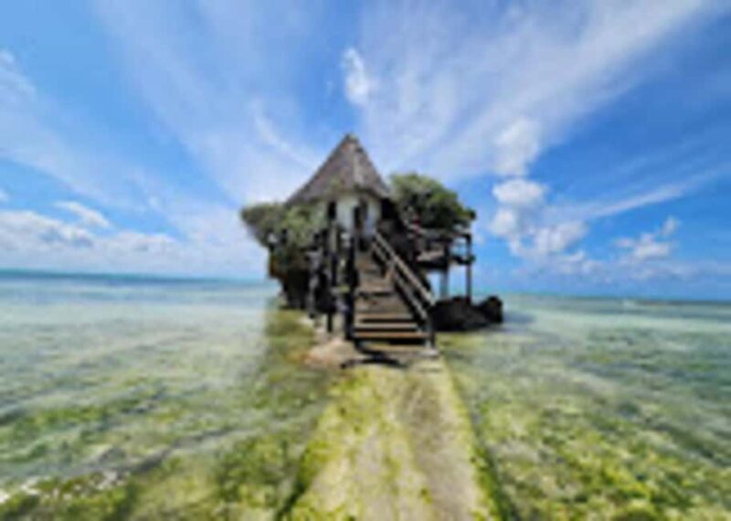 Stone town,Jozani Forest,Kuza Cave and the rock restaurant - Final Thoughts: Who Is This Tour Best For?